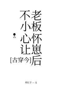 不小心怀了上司得孩子