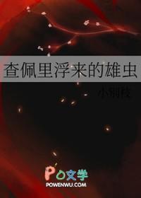 查佩里浮来的雄虫by