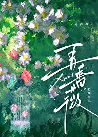 弄蔷薇芒厘全文TXT