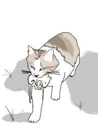 十八线和影帝再婚了