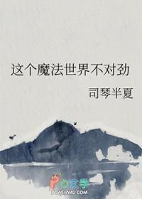 这个魔法世界不对劲格格党