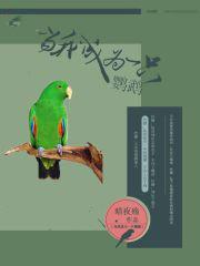 我变成了一只鹦鹉作文600字