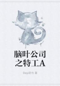 脑叶公司之新篇章