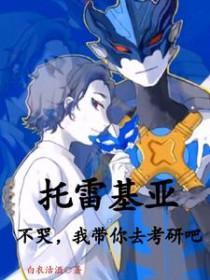 托雷基亚奥特曼讲解