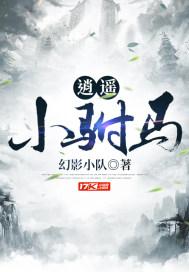 电子书大唐逍遥驸马爷