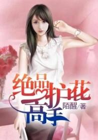 绝品护花高手全集