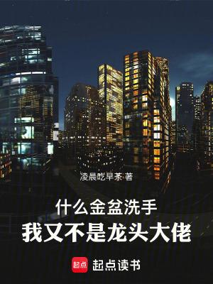 我又不是龙头大佬作者凌晨吃早茶