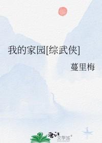 我的家园综武侠无防盗