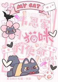 综英美韦恩家小猫咪的使命