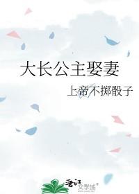 大长公主娶妻_上帝不掷骰子