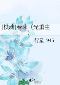 棋魂同人文光重生二度