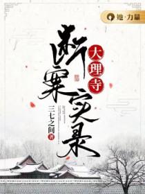 大理寺断案实录结局是什么