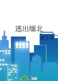 逃出缅北的有多少人