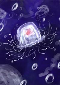 小水母沉水底是不是就死了