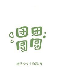 团团圆圆打一准确生肖