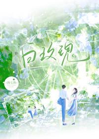 红玫瑰与白玫瑰