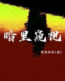 暗中窥探的解释