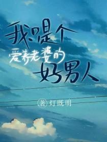 我只是个爱养老婆的好男人免费