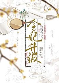 清穿之令贵妃晋升记书包网