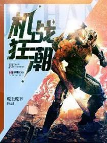 机战wbp