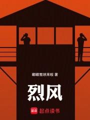 烈风马里亚诺山地车怎么样