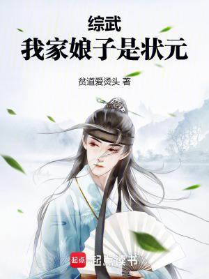 综武我家娘子是状元电视剧