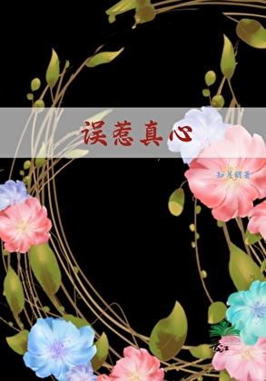 真心误会