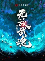 无敌武魂免费阅读