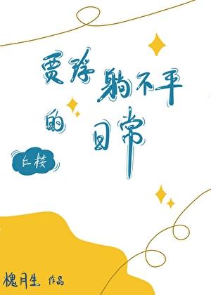 红楼贾琈躺不平的日常