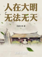 人在大明