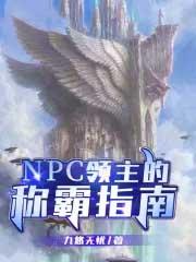领主手下