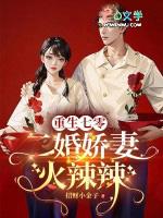 重生七零年代二婚妻