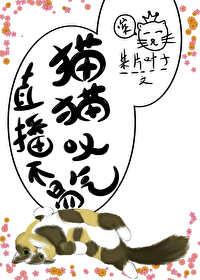 直播不易猫猫叹气免费