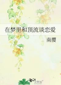穿进顶流梦中谈恋爱免费阅读