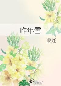 昨年雪by栗连讲的什么