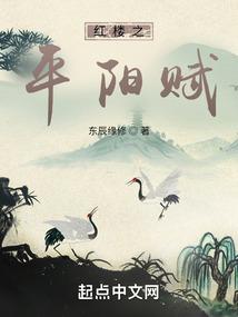 红楼平儿同人文