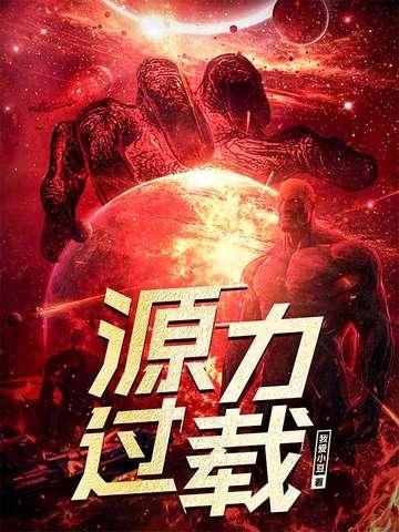 源力过载大结局
