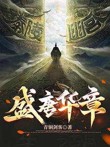 盛唐风华免费阅读