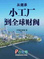 从继承小工厂到全球财阀笔趣阁