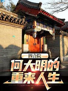四合院何大明的重来人生作者侠明