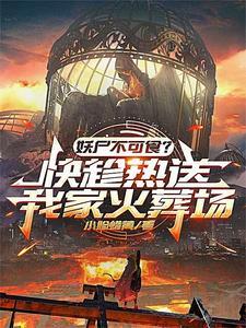 最后的十三本