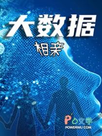 大数据征婚