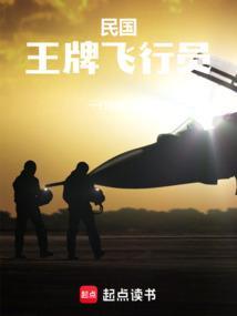 主角是王牌飞行员