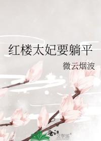 穿越红楼成太后