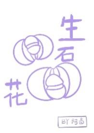 生石花花纹玉图片大全
