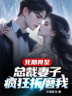 总裁妻