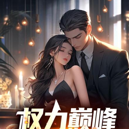 权力巅峰全文阅读免费阅读全文