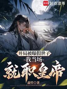 尘中镜txt全本TXT