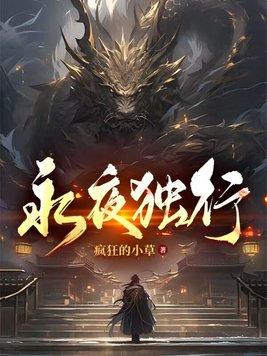 永夜独行大结局