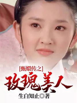 甄嬛传美貌